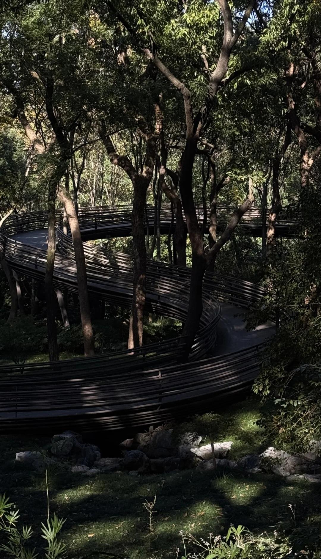 杭州小众徒步路线（小白初阶版🚶‍♀️城市轻徒步徒步路线推荐户外徒步杭州