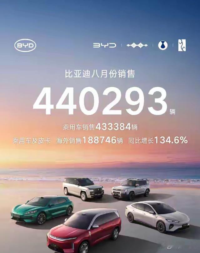 比亚迪在澳洲这几个月有点东西。6月直接干到18881辆。7月一下子掉到785