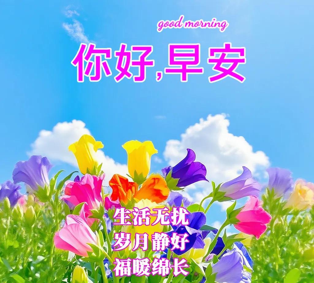 七言绝句《安享》朝沐清晖暮揽霞，身康心悦即仙家。闲抛得失云边鹤，笑看流光入盏