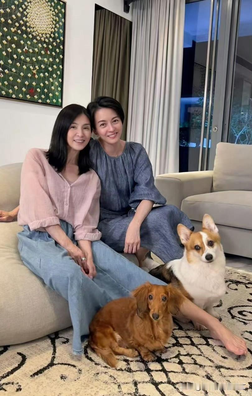 51岁的杨采妮跟49岁的梁咏琪​​​！