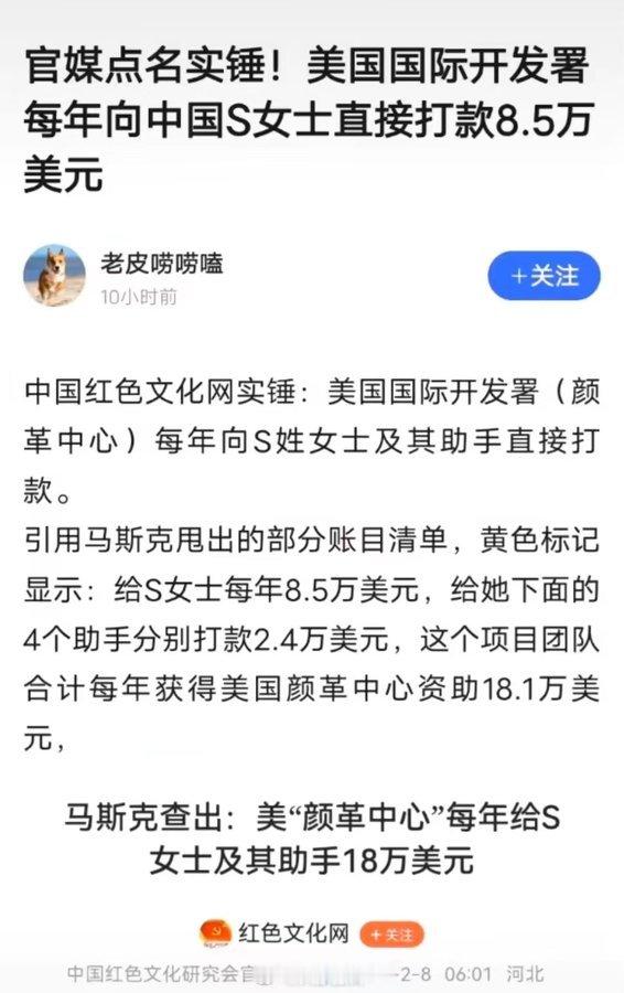 真的假的？有司该查查吧？——网友：国际开发署(颜革中心)每年向S姓女士及其助手直