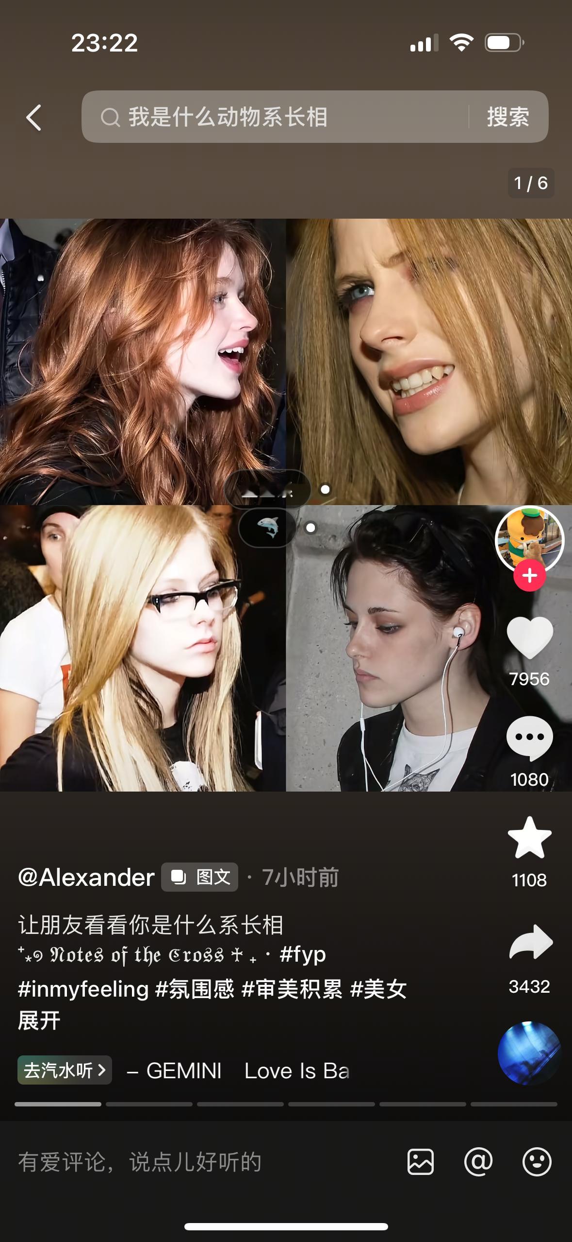 原来我最钟爱的美女是鲨鱼系🦈
