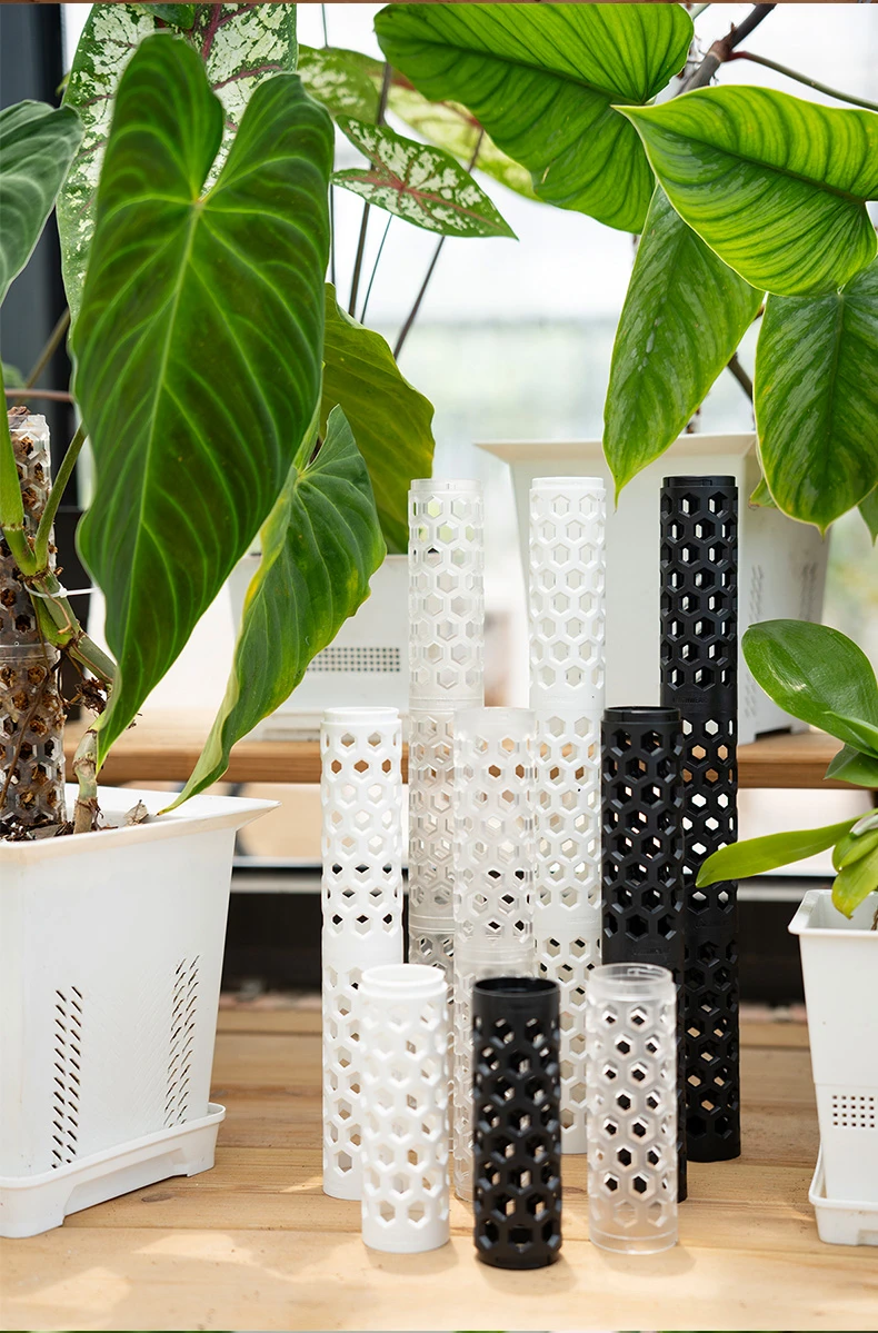 3r就能买到水苔柱，还赠送沥水柱和轧带！