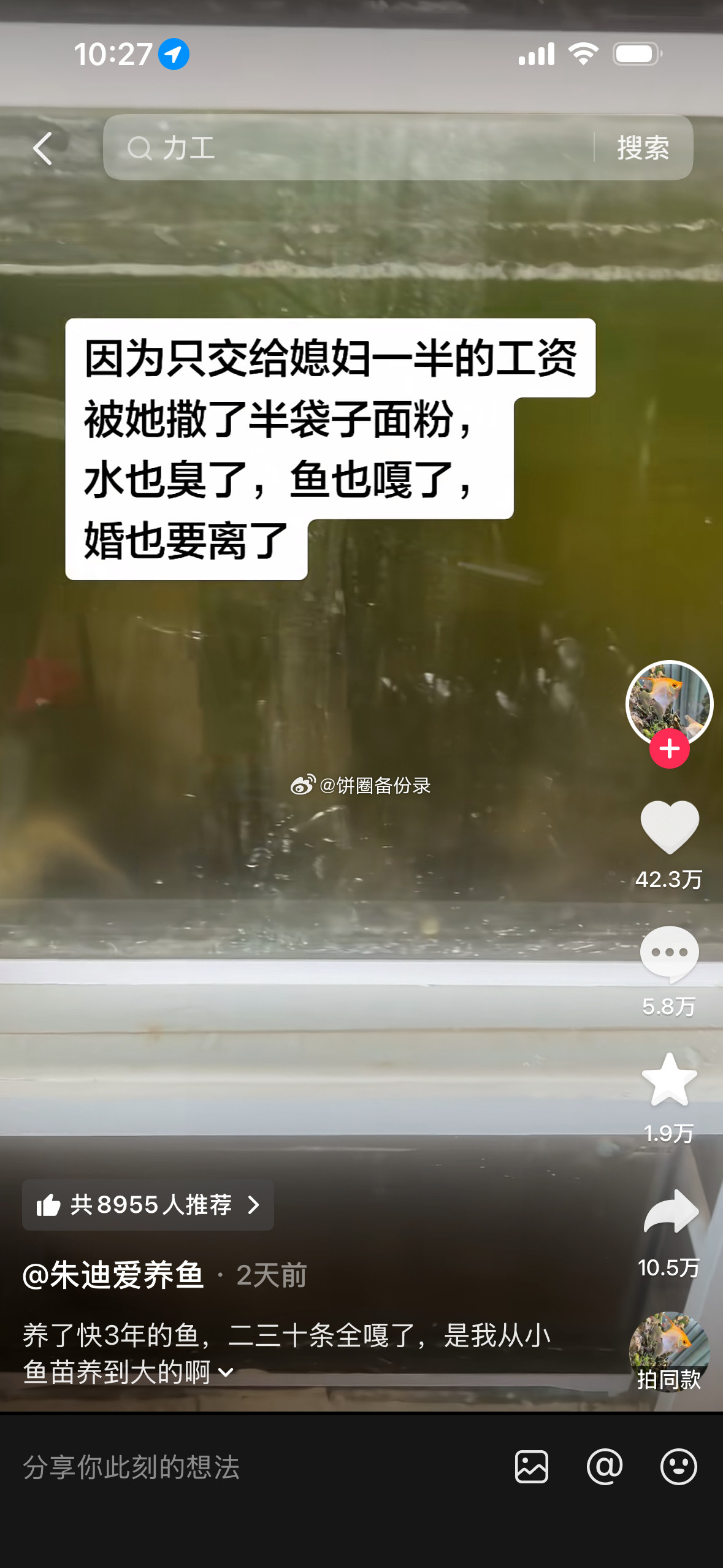 民间遍地邹市明