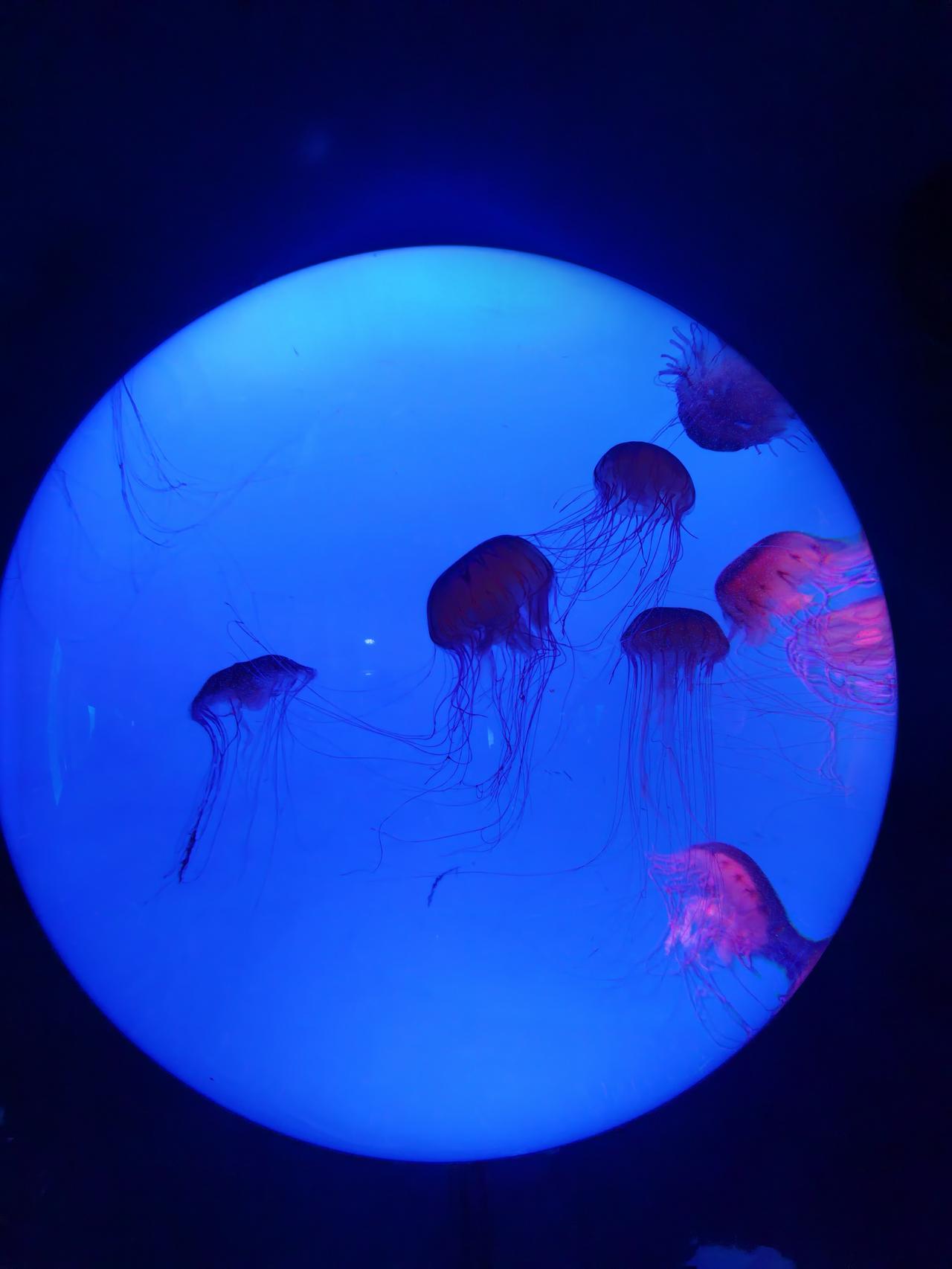 发现没有，人品坏的人，通常有两个非常可怕的本事。其一，就是“无中生有”。这种人