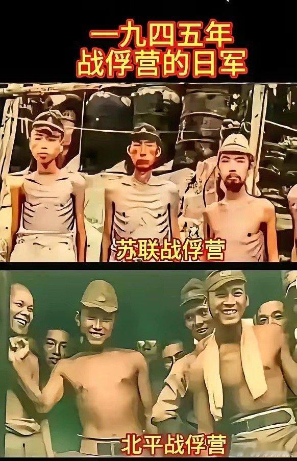 昨天写了一篇文说日本人不怕我们的原因很多人评论，上面是苏联俘虏的日本人，下面是中