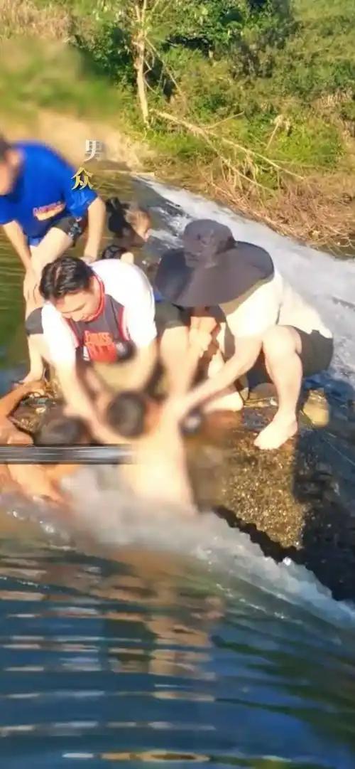11月11日，四川乐山一男童在桥上玩耍时不慎坠河，被水流冲至河中央石头处。危急时