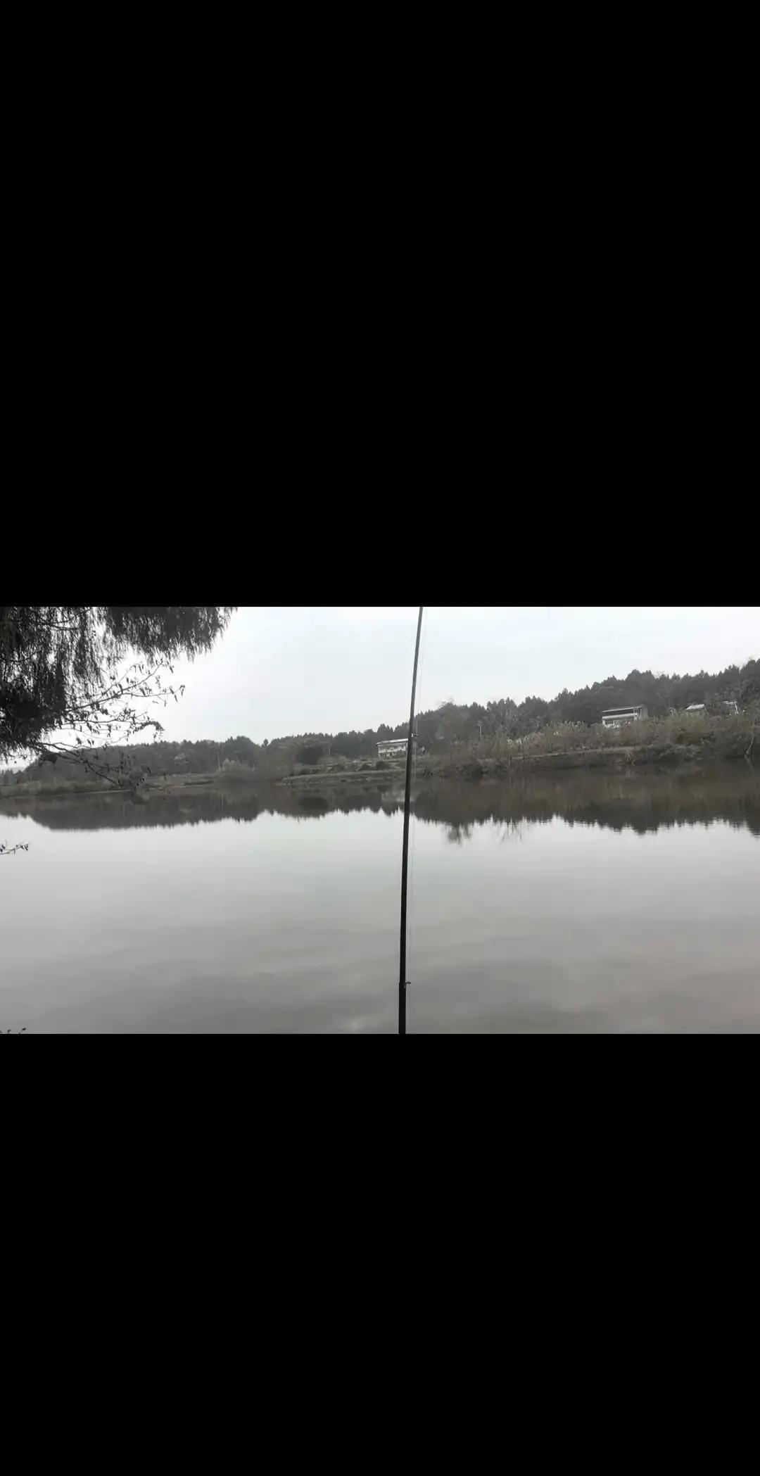 钓不上鱼？别怪技术，规则和鱼群全变了。长江夜钓的人最近发现，巡逻船少了，但