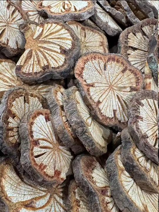 张仲景的“通利”智慧！这方法不依赖手术，专攻2-5年肾囊肿，助众多患