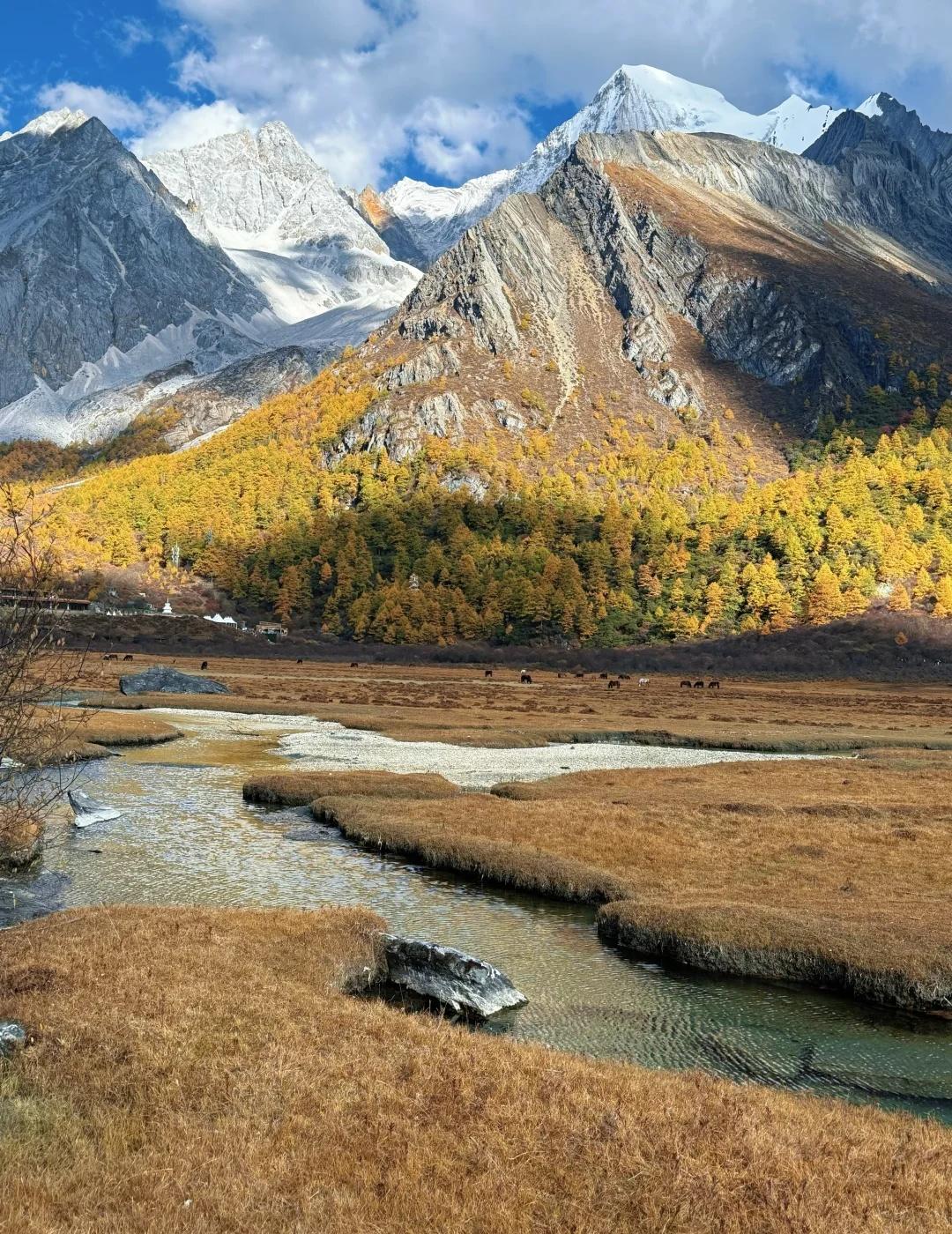 自驾稻城亚丁去过格聂南线发现稻城也不过如此可是稻城亚丁爬上去后有牛奶海湖