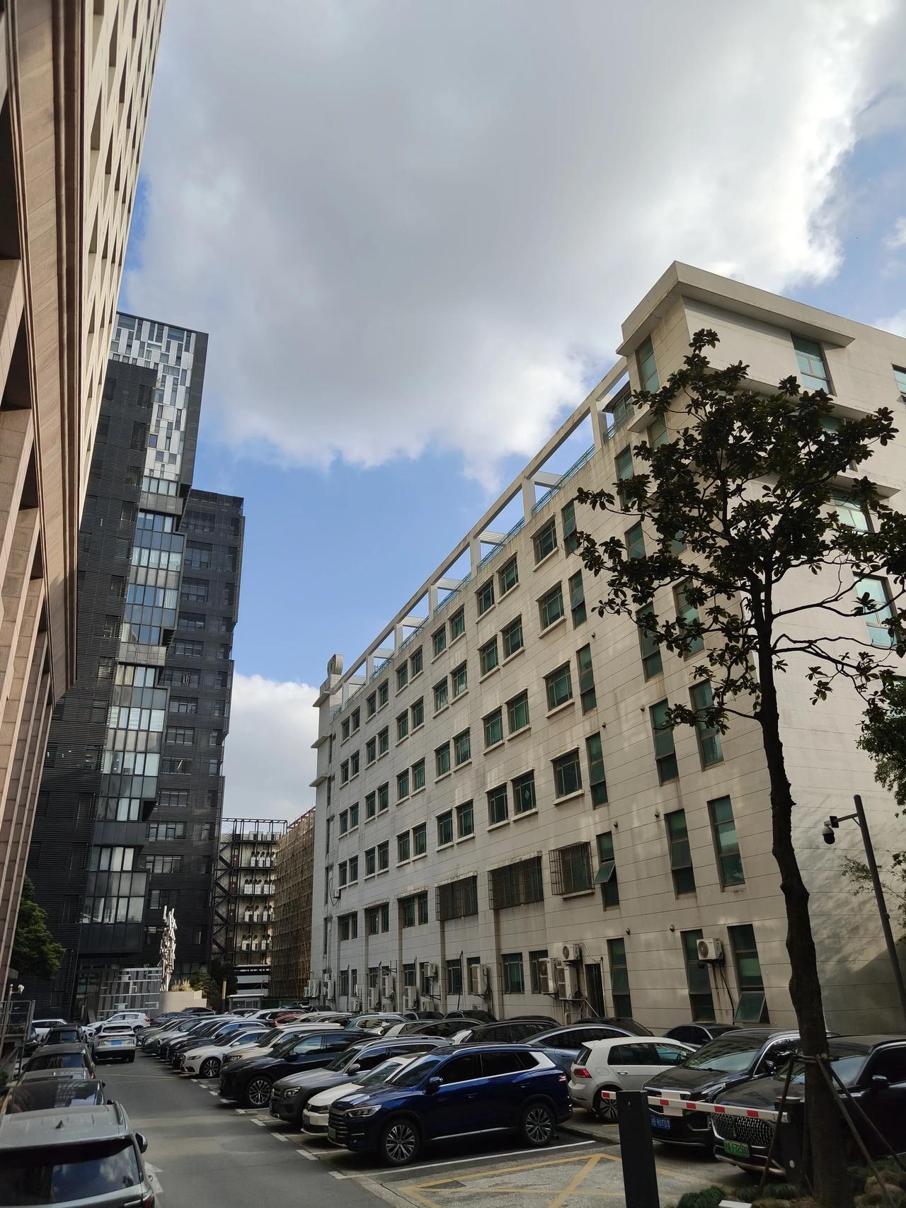 今日份天空随手拍实景图分享！好像云系增多了，起风了！明天肯定比今天冷哈～