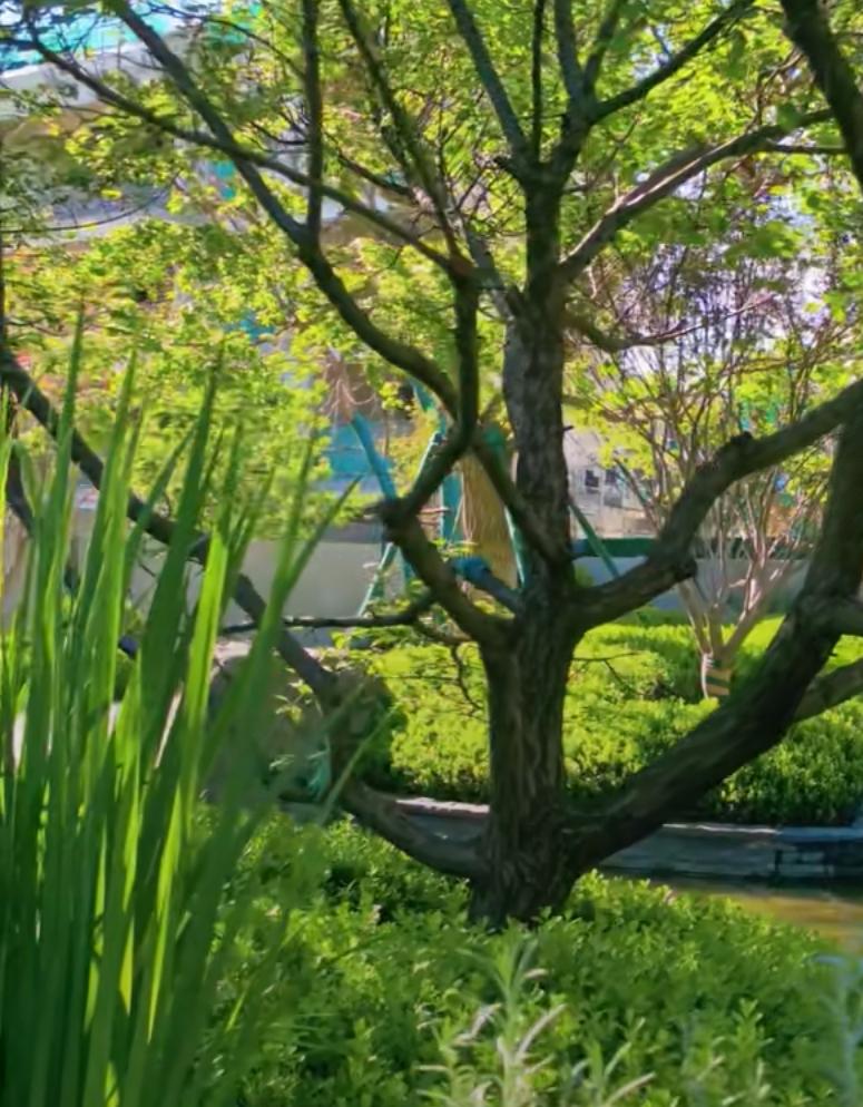 2026年北京买房的10个真相！1、北京大量老旧小区，尤其是没有优质教育资源