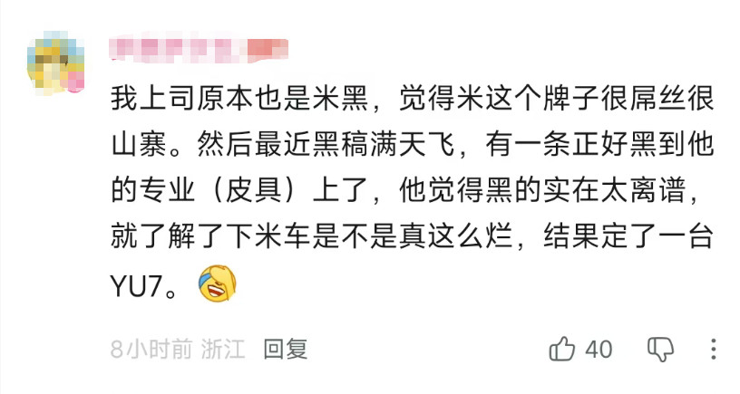 就像我说的，小米汽车不怕用放大镜或者显微镜看，只要你不用有色眼镜看就行。看的越细