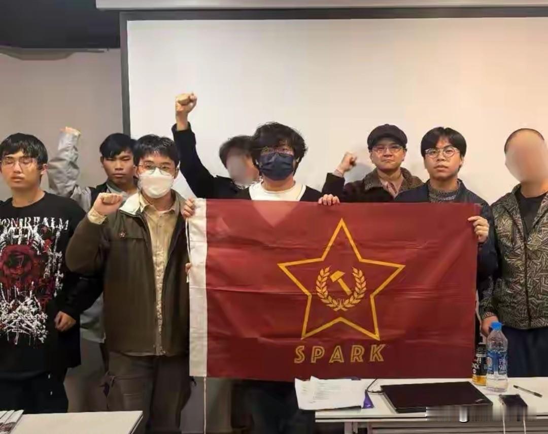 台青年创革命共产党反蓝反绿民进党打压阴云笼罩台湾革命共产党正式成立，公开