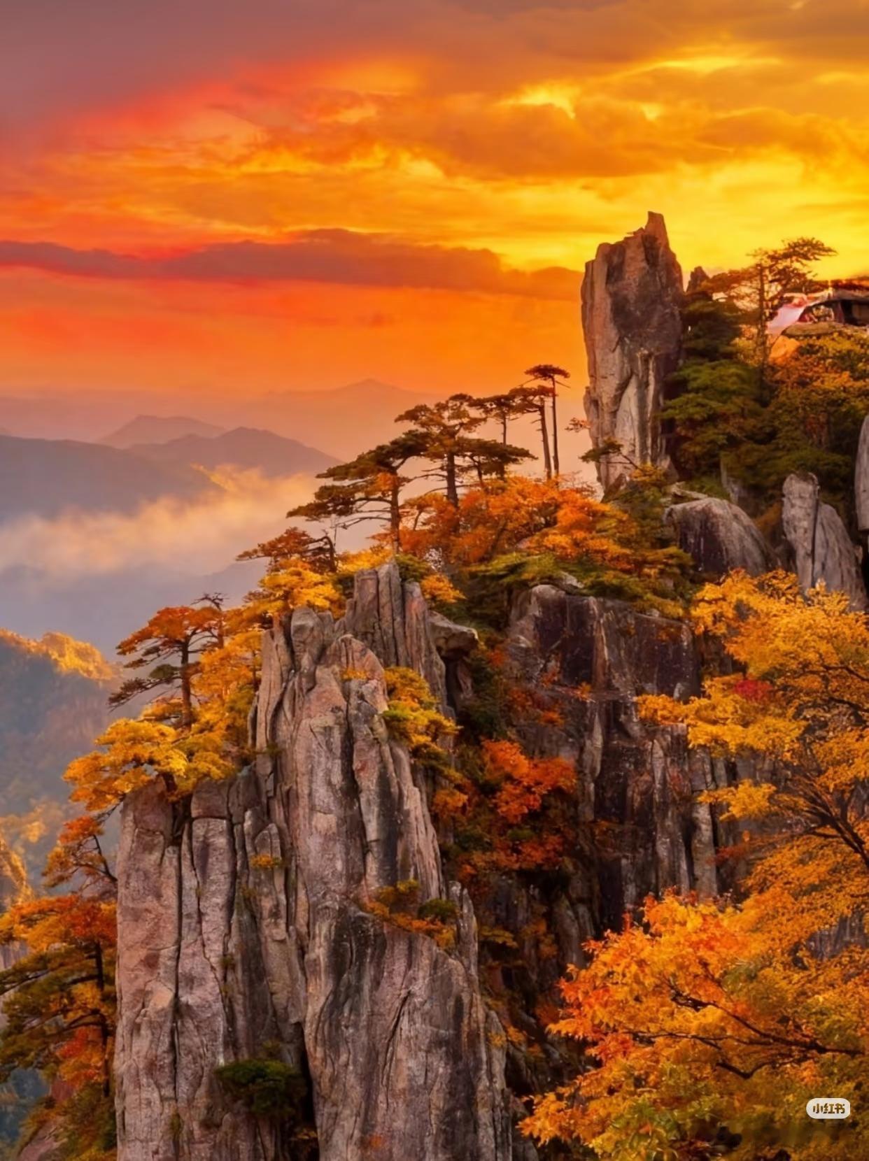 你问我答黄山归来不看岳。秋天的黄山有彩林、云海、日出、怪石，秋天的黄山是最美的吗