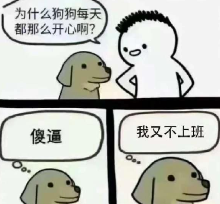 为什么狗狗每天都那么开心啊?