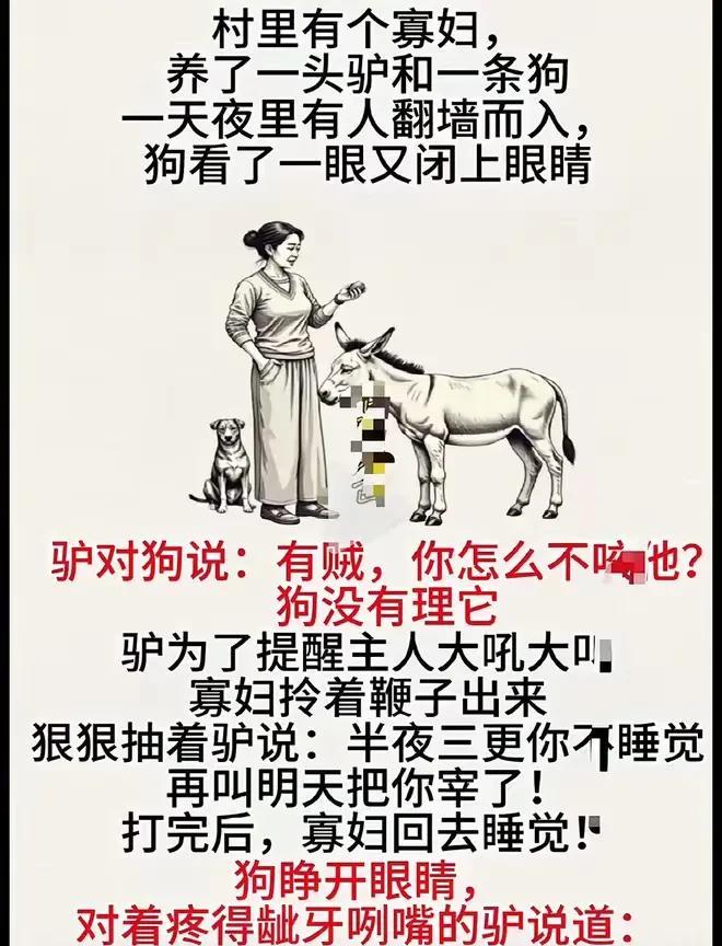你以为半夜翻墙进来的都是偷东西的