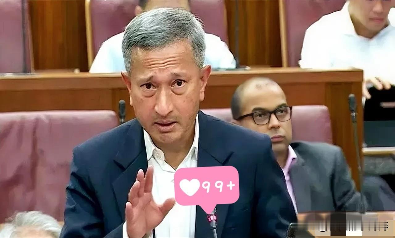 新加坡急了。在东盟的会上，外长几乎是拍着桌子，让中国“尊重”马六甲的地位。翻