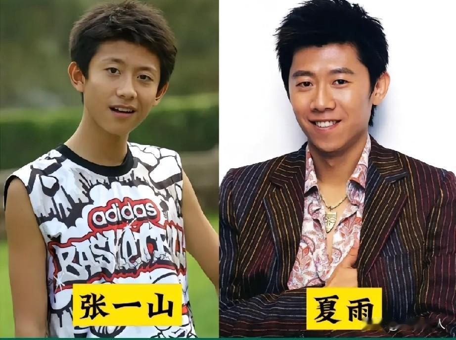 这10对明星长得简直一模一样，傻傻分不清！