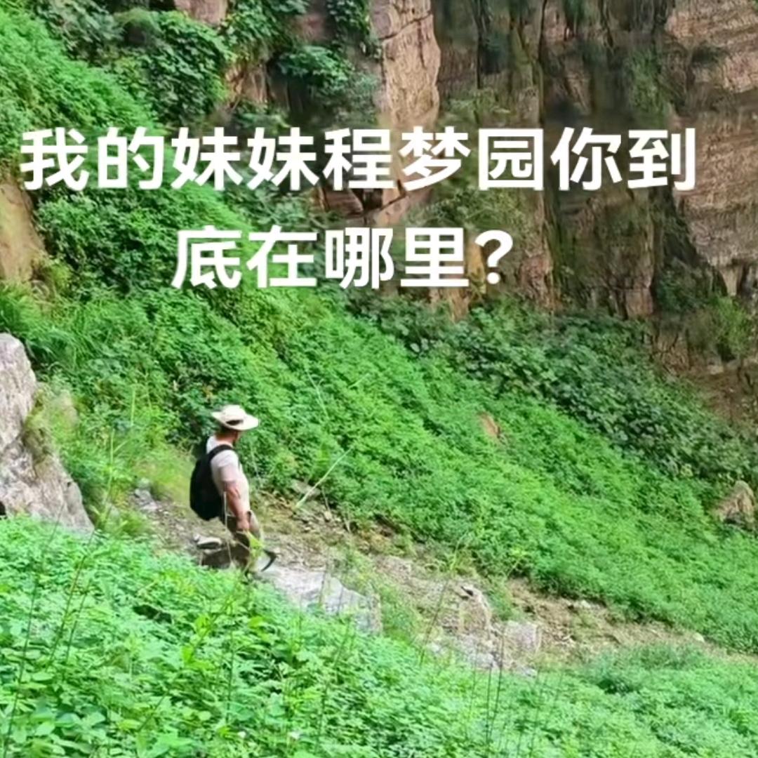 果然还是当哥的最懂妹妹。看到程梦圆大哥接受采访的视频，说到父母的时候他哭得说不