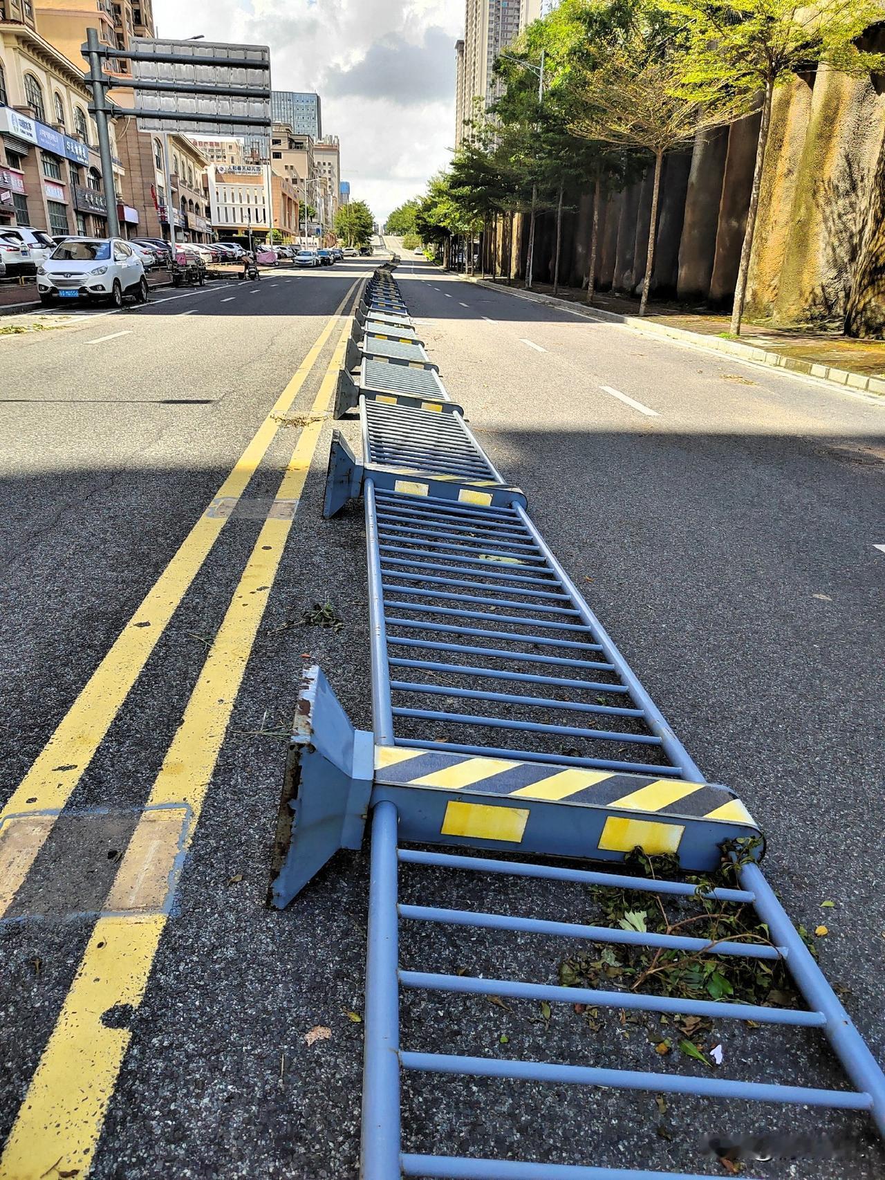 强台风麦德姆肆虐湛江已经过了两天，湛江市区各条主要道路路边倒伏的树木造成的路障基