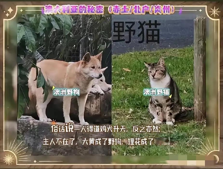 扒出俄澳的神秘景点真相，直接颠覆认知！两国那些禁拍、刻意抹除痕迹的地方，竟都藏着