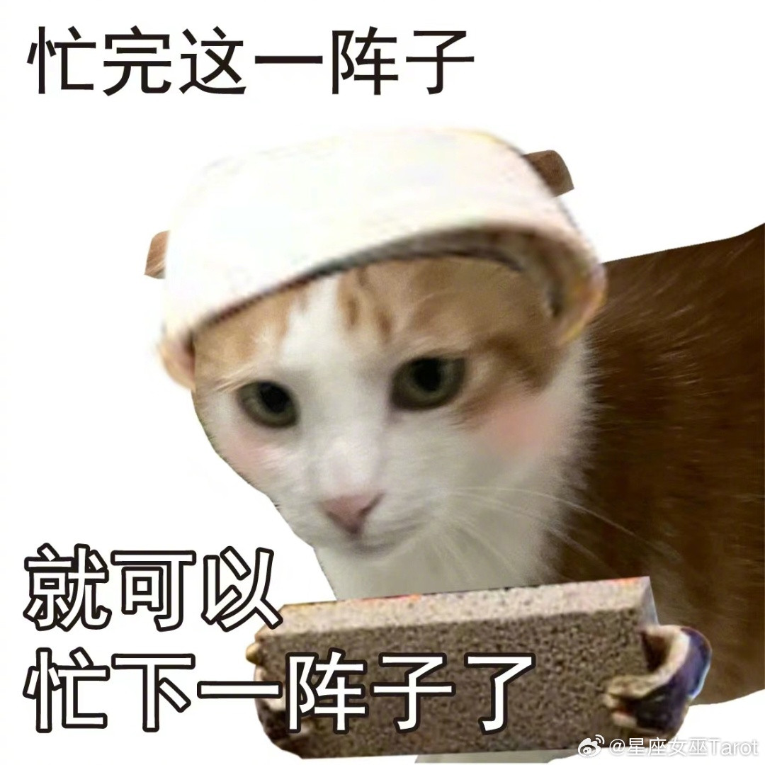 12星座到底适合干什么工作？白羊：救火队员。哪里着火去哪里，灭完就跑金牛：银行柜