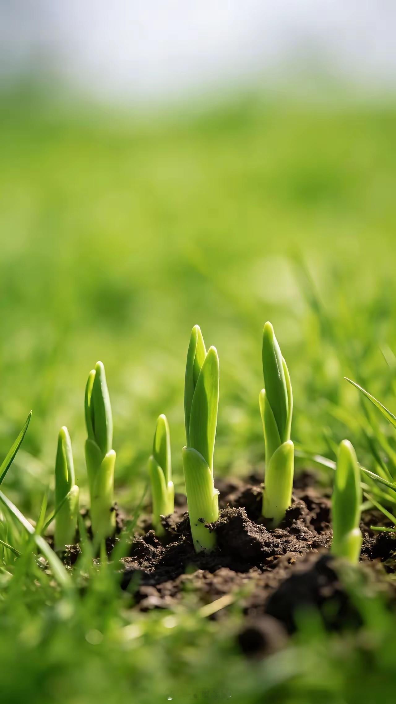 没技术别追高，低吸高抛稳赚钱家人们，咱普通散户炒股，可千万别犯傻去追高！尤其是没