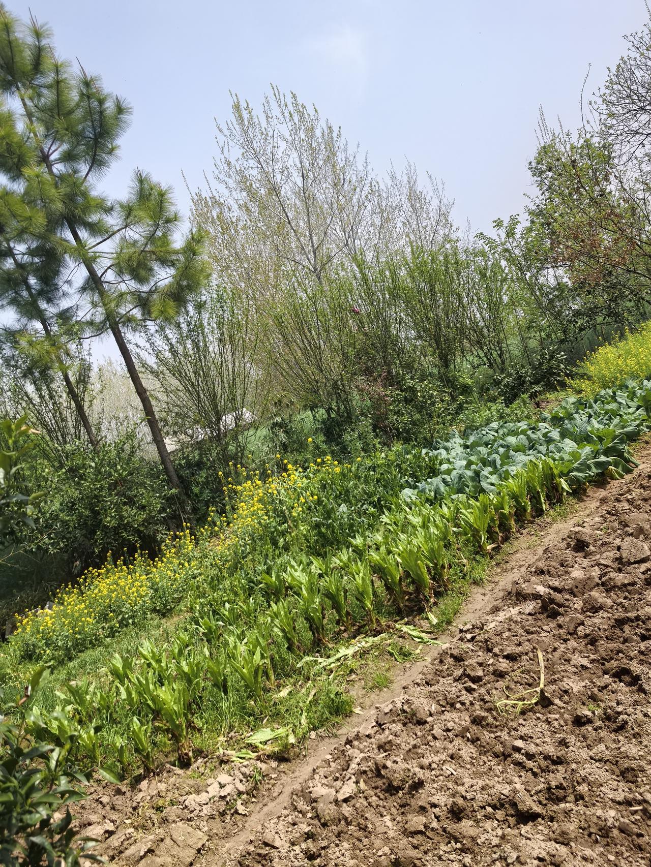 为什么有人宁愿坐慢车不愿乘高铁有人宁愿坐慢车不坐高铁，核心是省钱、实用、更方便。