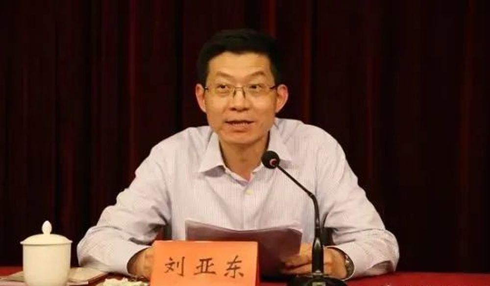 搞团团伙伙, 安徽省铜陵市政协原主席刘亚东被开除党籍和公职