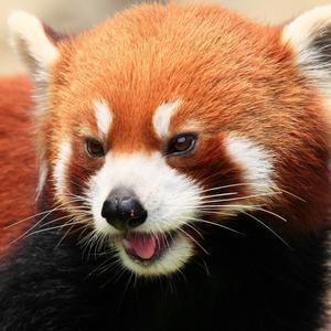 年会抽中iPhone17ProMax，刚领完奖，销售小王就凑过来问9500卖