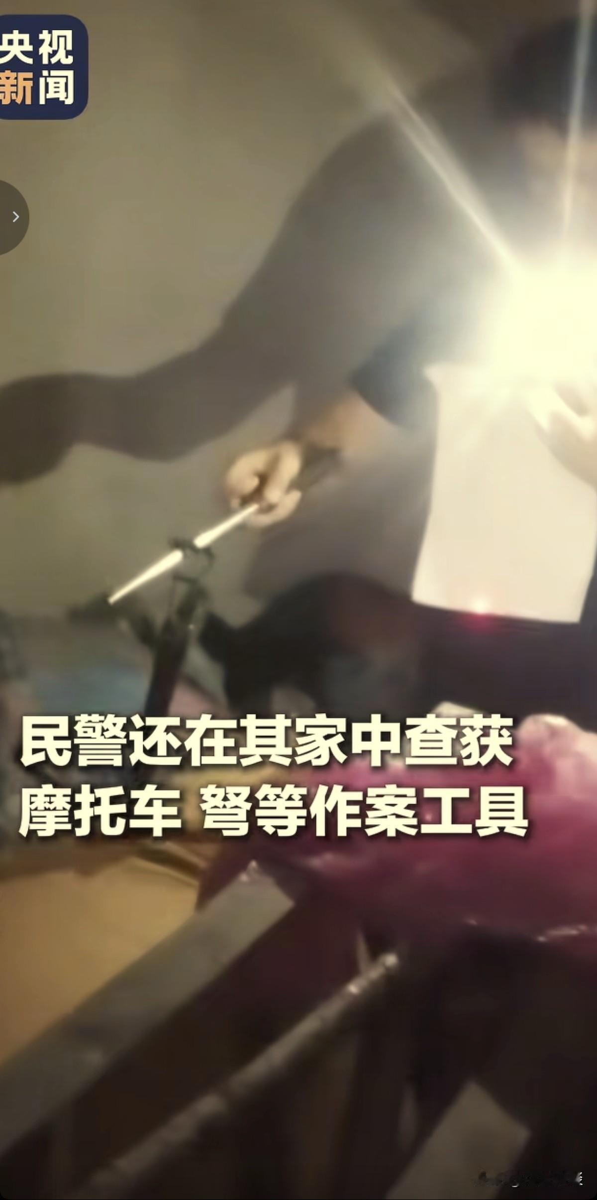 四川德阳射杀柴犬的男子已被获，会面临着以下几种处罚：1、涉嫌盗窃罪，面临刑事