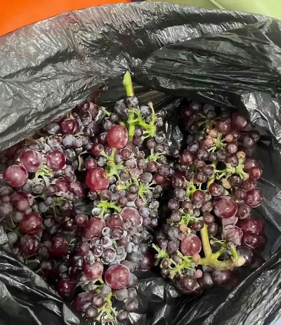 没见过这么抠的邻居，不想送可以不送​​​