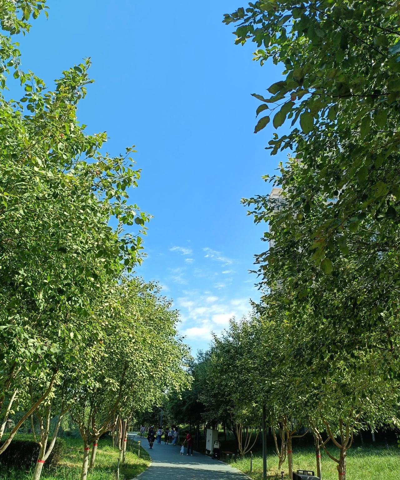 散步碰到一个朋友，聊天中说她家孩子去年填报志愿的事，说是分数考的不错，填报志愿时