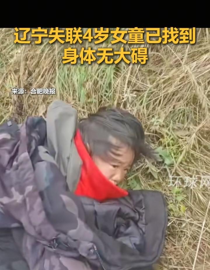 4岁女童被找到我不意外，搜救犬没闻到气味我不意外，最让我意外的是，为什么孩