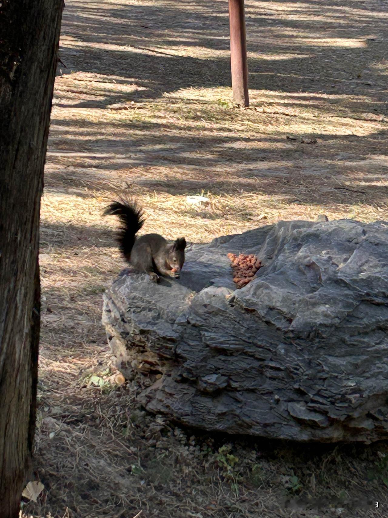 一家人过日子，哪有不磕磕绊绊的？父母的唠叨、伴侣的小脾气、孩子的调皮，其实都是生
