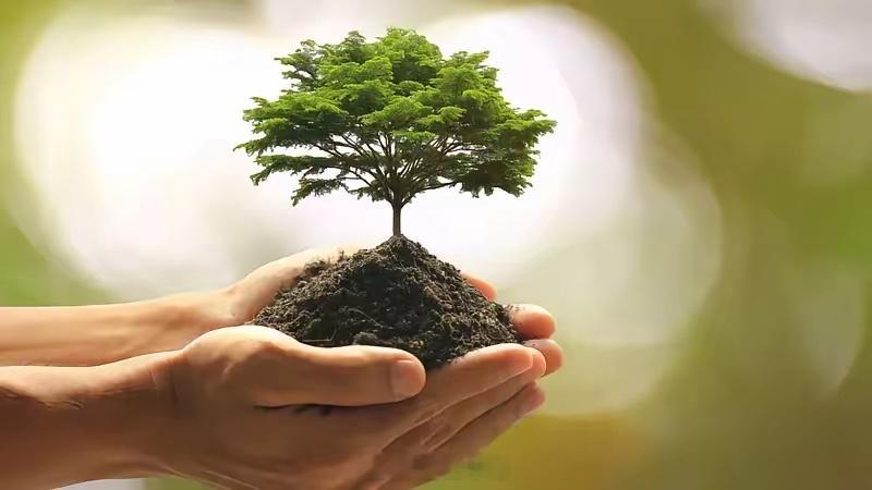 价值投资四大核心选股理念1.选择永续经营的行业，电力，医药，白酒，银行2.选择大