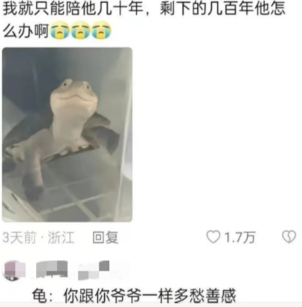 真的很好笑啊哈哈