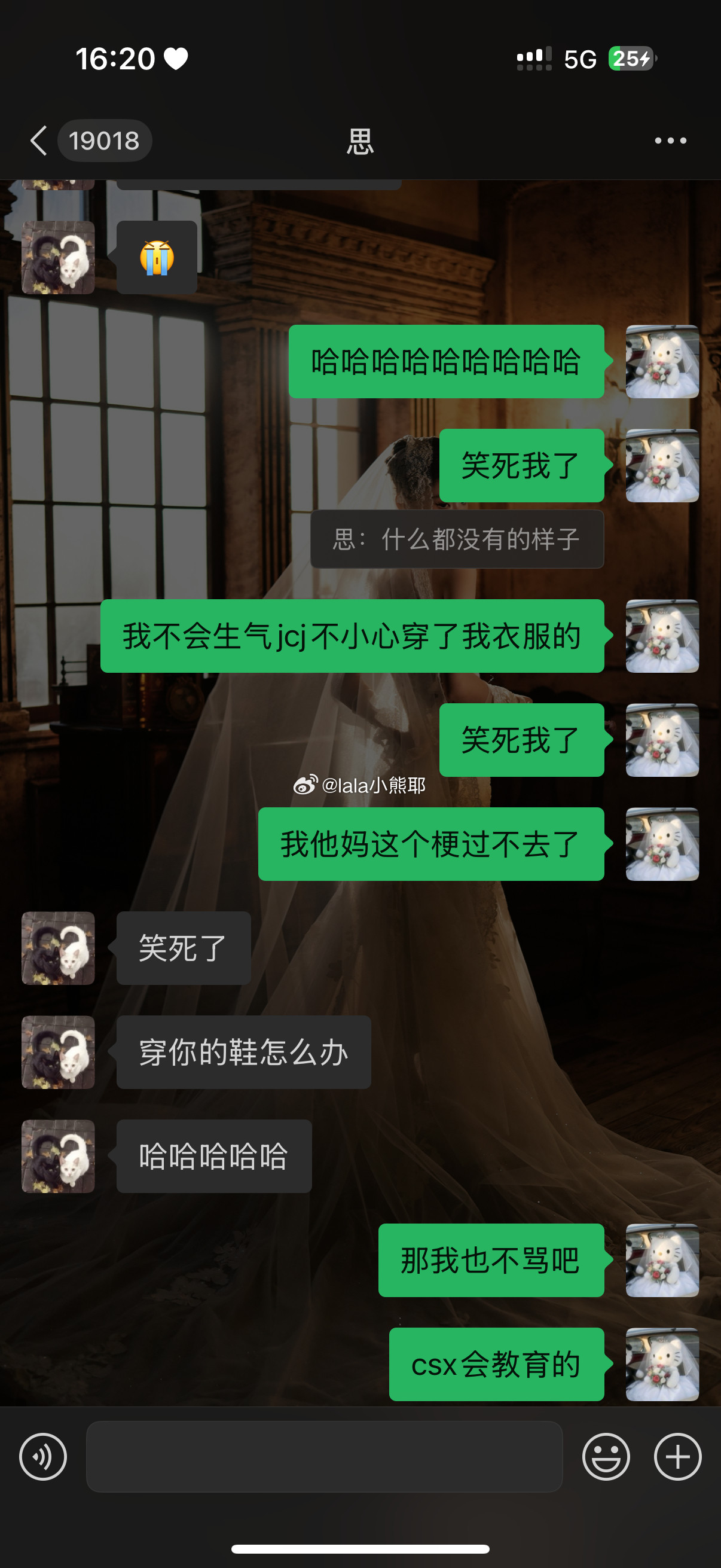 笑死我了啊​​​