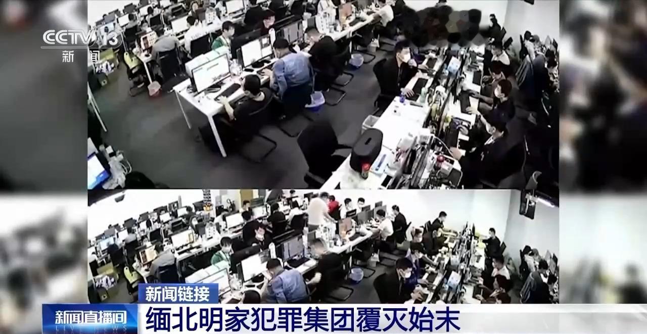 视频丨11名主犯今被执行死刑 回顾缅北明家犯罪集团覆灭始末