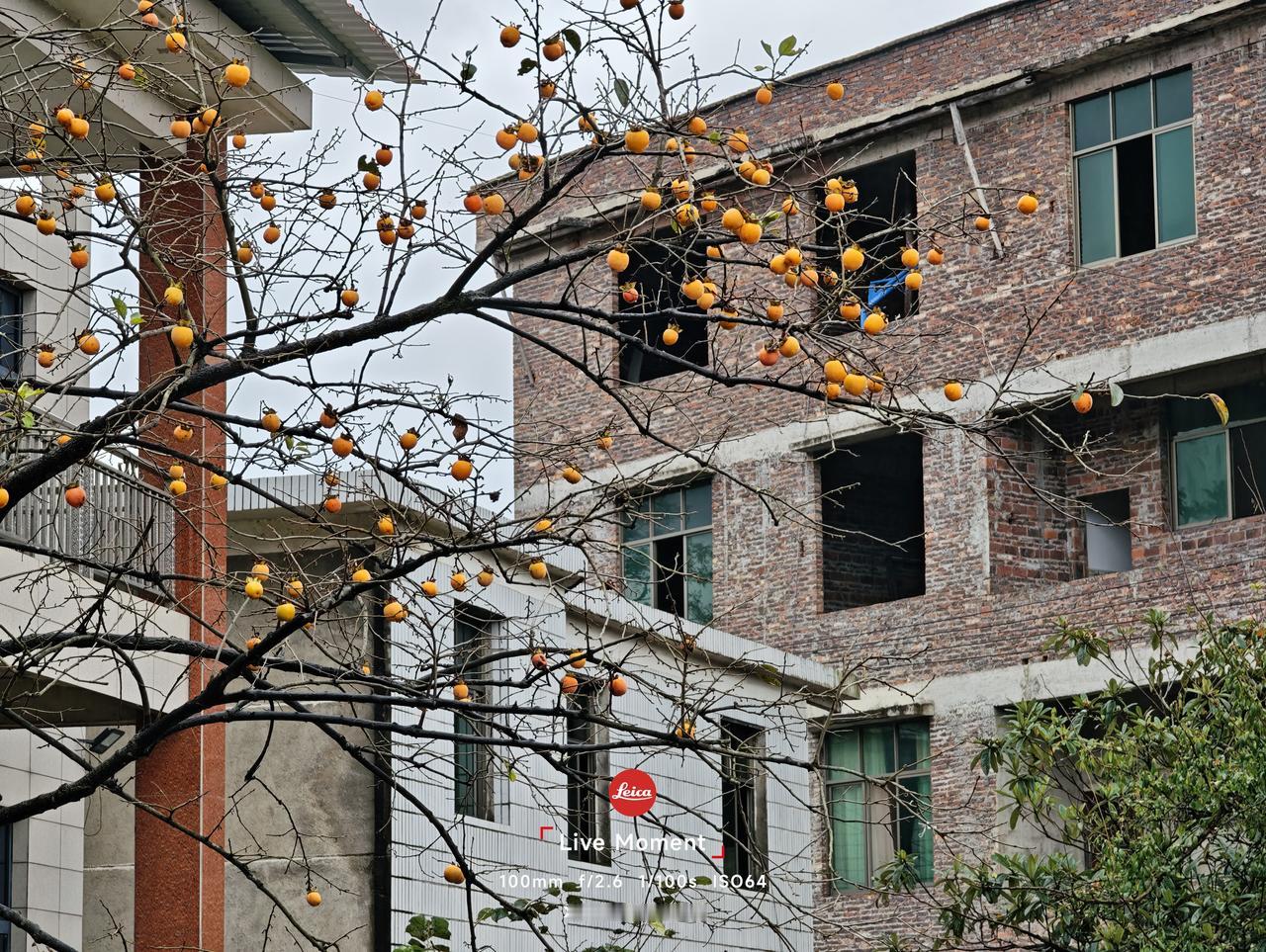 农村有多少人把建房子，当一辈子最大成就？博主九边Pro说农村人把在老家盖套房当人