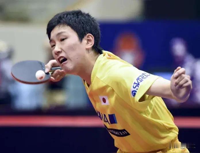 日本人张本宇一家回到成都尴尬死了。1、张本宇的女儿张本美和5999元的见面会活