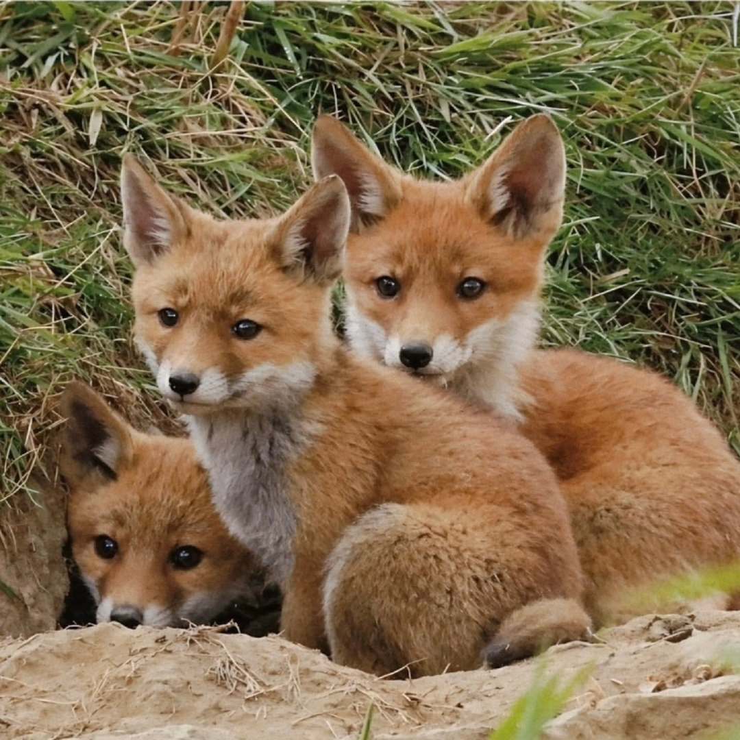 那个人举着大炮好可怕摄影师ElmarBierwirth