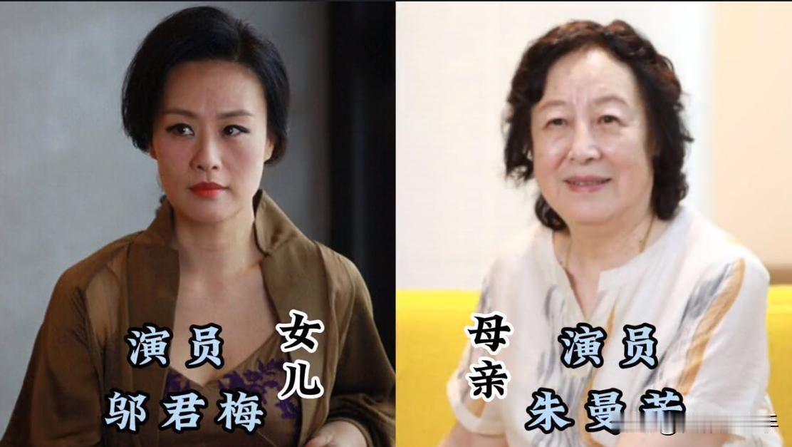 看似是草根的15位星二代，多半都有一个很牛的母亲，赢在了起跑线上。有人跟着母亲