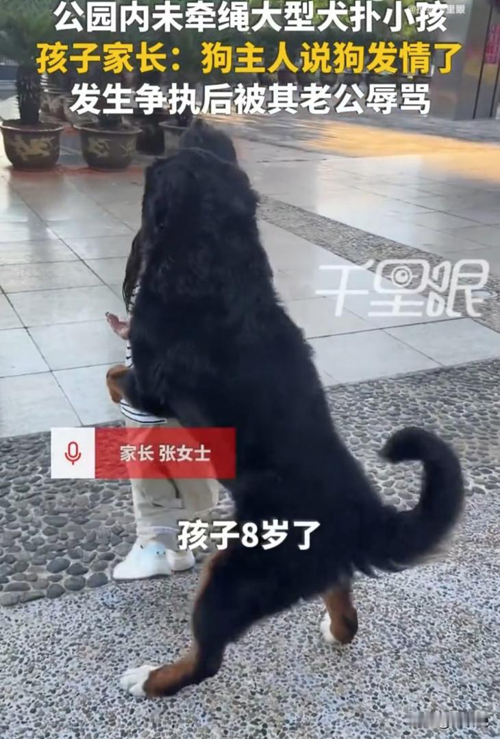 云南玉溪，一处公园内，一名宝妈带八岁女儿散步，遭遇主人放任的未牵绳德牧扑身骚扰，