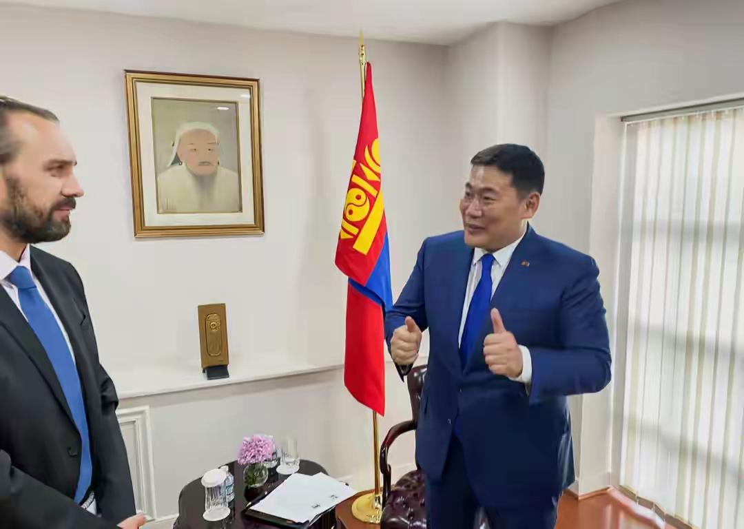画饼一流，出钱没有！美国帮蒙古搞稀土，全是空头支票全球第二稀土储量，310