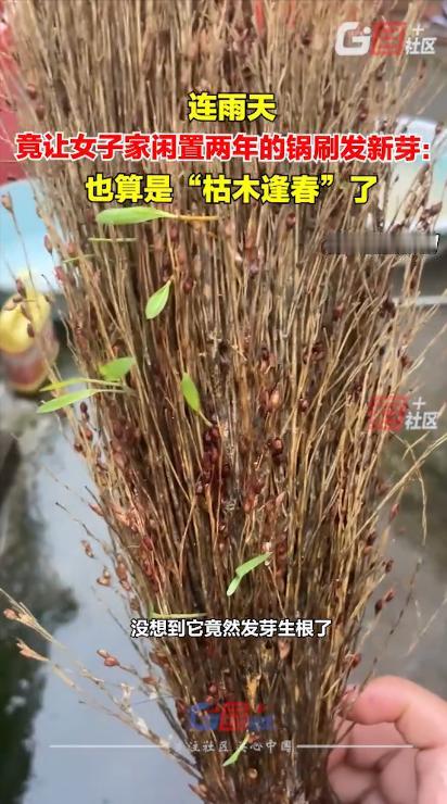 离了个大谱！10月15日报道，山东临沂，一女子在厨房收拾杂物时，意外翻出了已经2