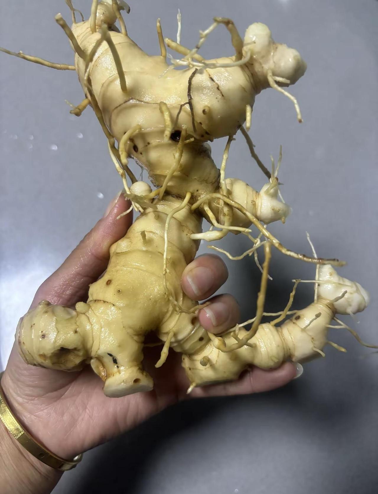 估计没人知道这是啥😂