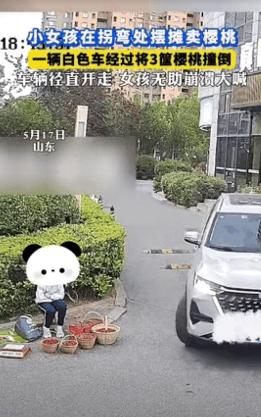 这司机是瞎了吗？三筐樱桃被碾碎扬长而去，小女孩的哭声撕心裂肺！5月17日下午