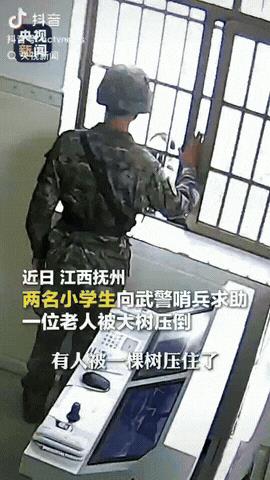 江西抚州，一老人被倒塌的大树压住了，完全动不了，2名小学生路过，见状上去帮忙，可